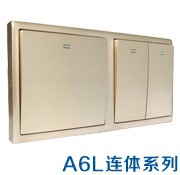 A6L联体超大面板-香槟金