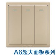 A6超大面板系列-香槟金