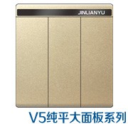 V5纯平超大板系列-香槟金